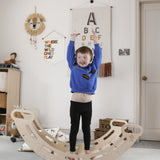 Dual Climbing Frame and Rocker